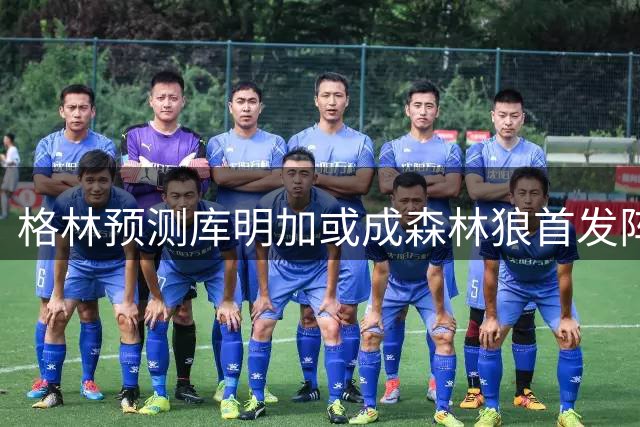 格林预测库明加或成森林狼首发阵容调整首选